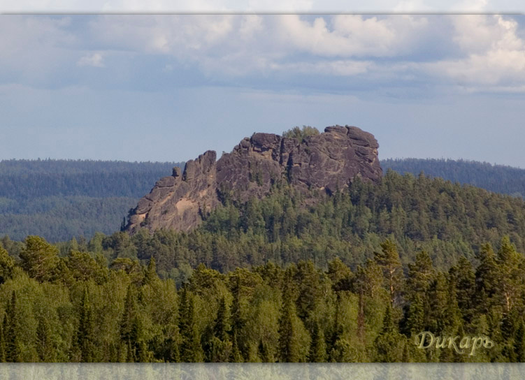 Дикарь Дкирь Столбы Красноярск