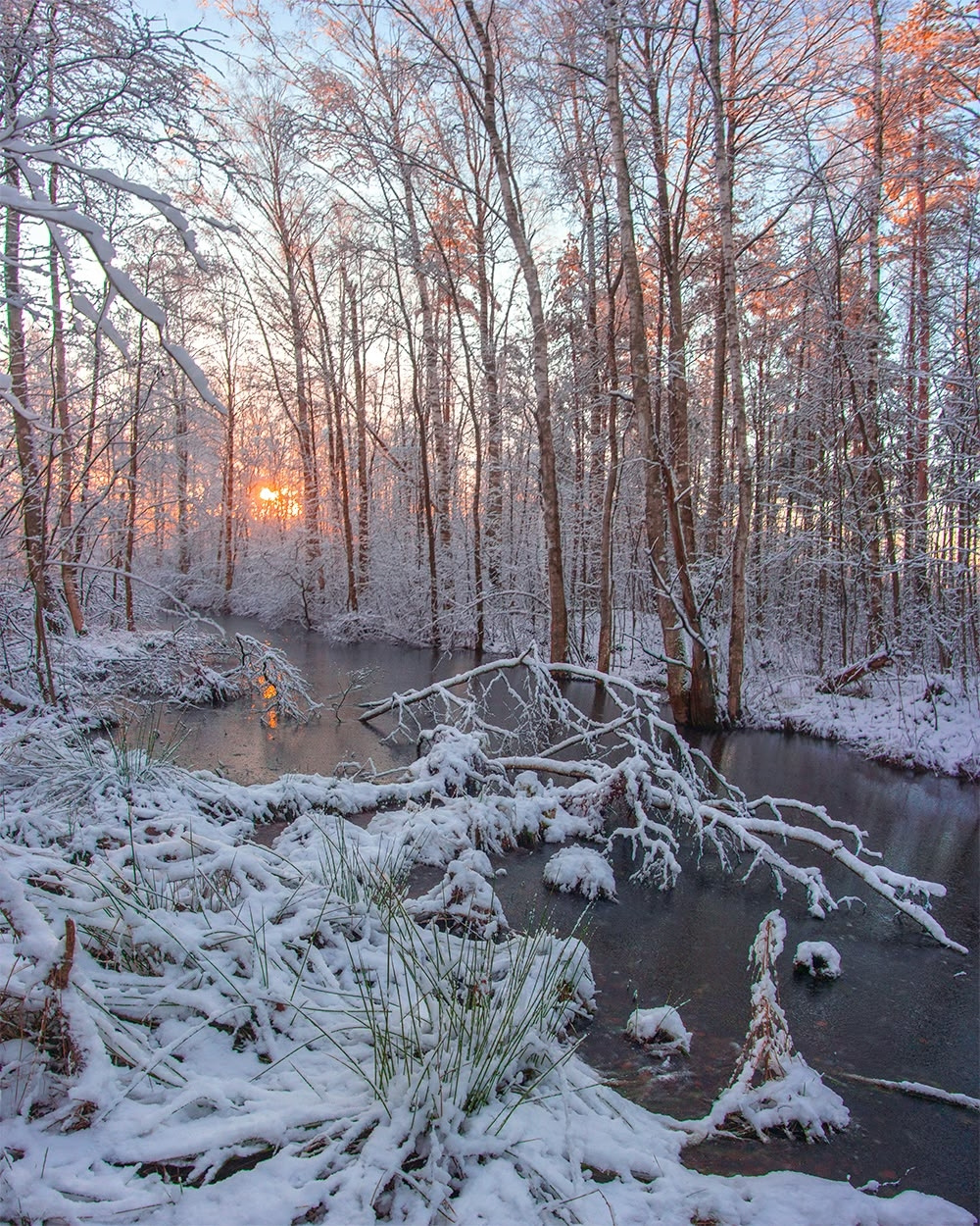 Снежные лужи 