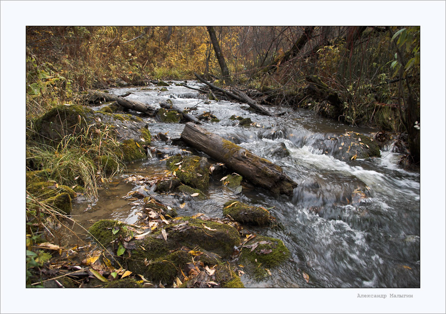 Ручей ручей камни вода осень