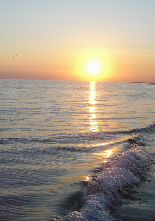 Уединение (Морская серия) 