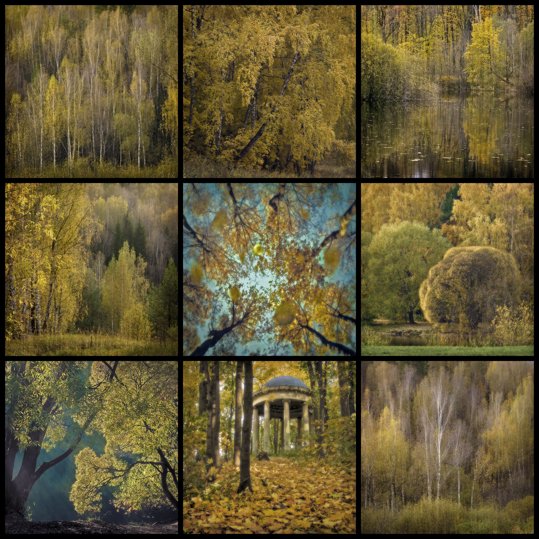 Осень 