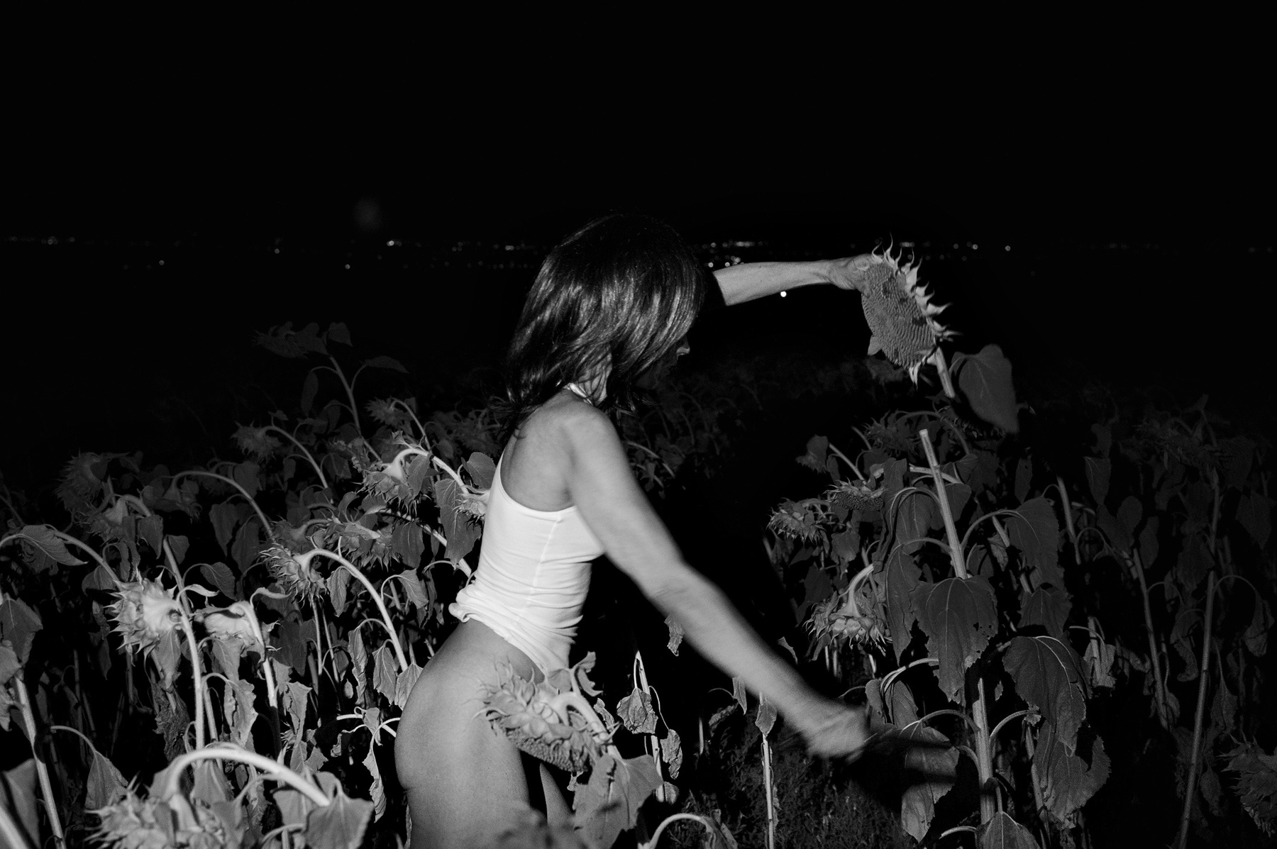 из серии "Ужос и ненависить из подсолнухов" ню nude nu ero etoric саратов ночь подсолнухи поле