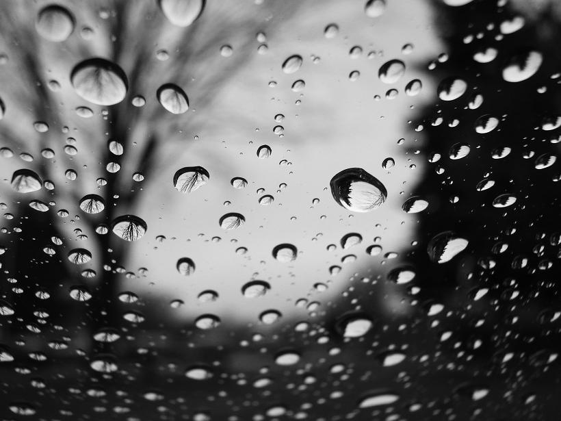 Spring rain Spring Rain Drops