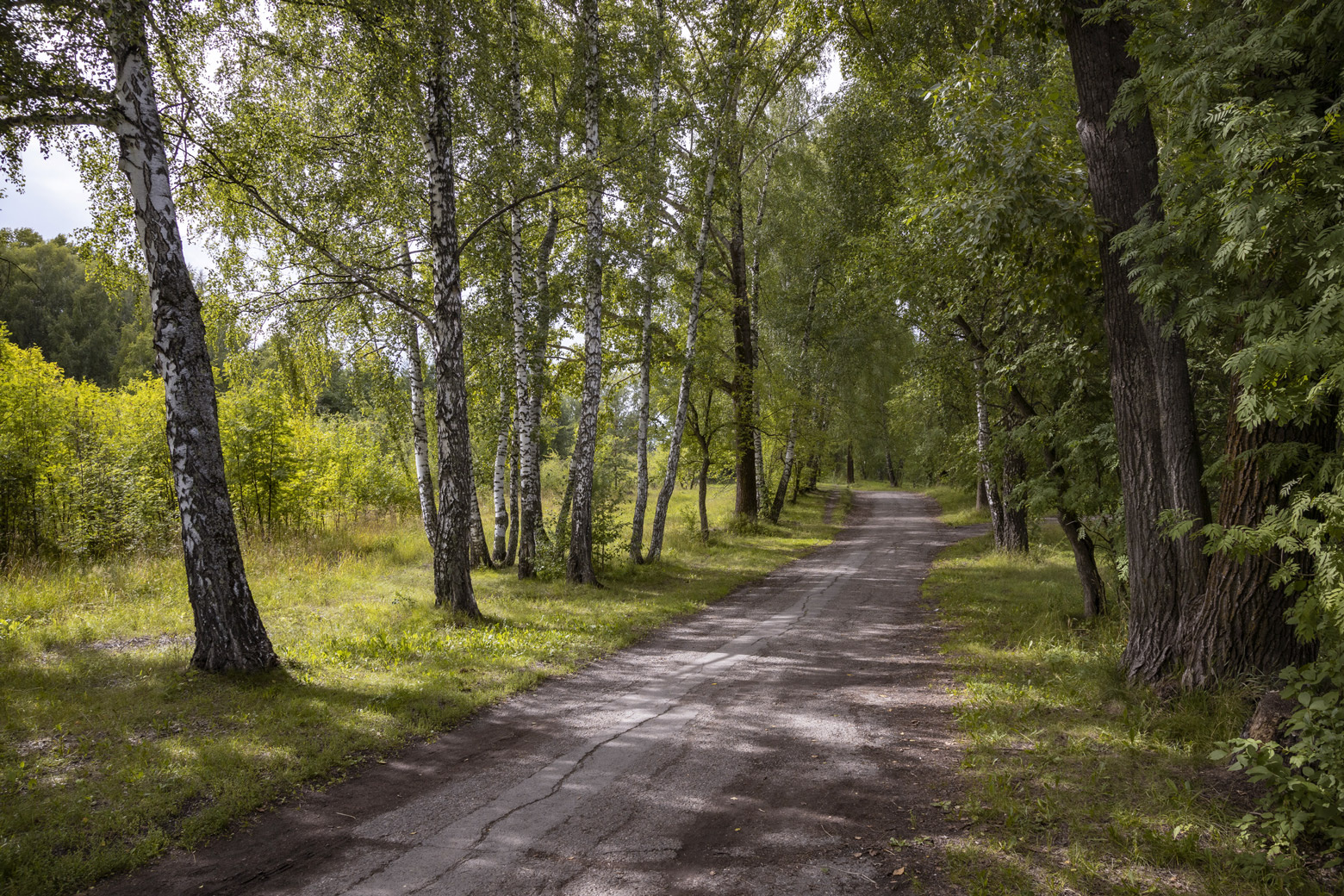 В парке 