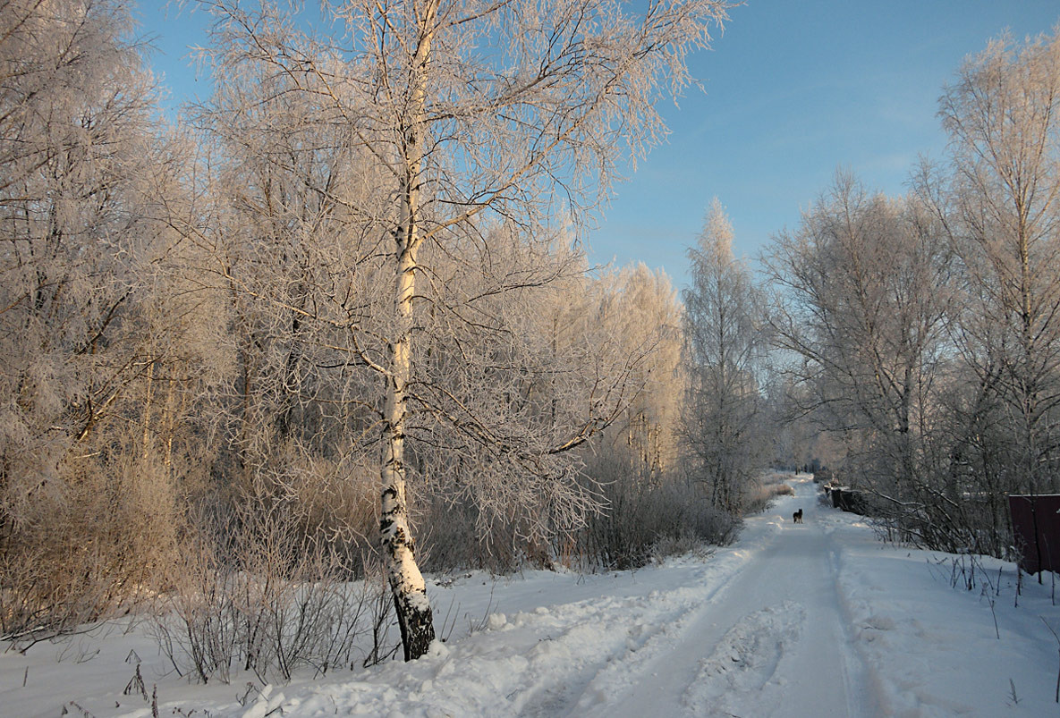 Зимняя дорога 