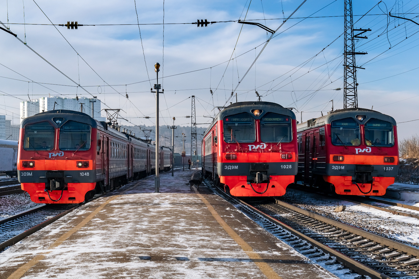 * * * * * railway железная дорога locomotive локомотив электровоз поезд train Russia Siberia Irkutsk Россия Сибирь Иркутск споттинг spotting