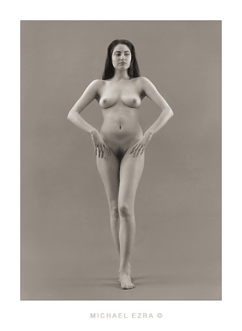NU_5133.1 
