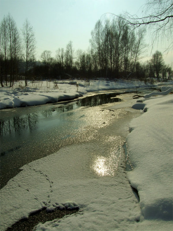 Отражение весны Весна снег вода лед река солнце небо деревья отражение