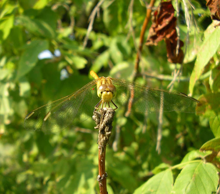Сейчас, отдохну немного... 