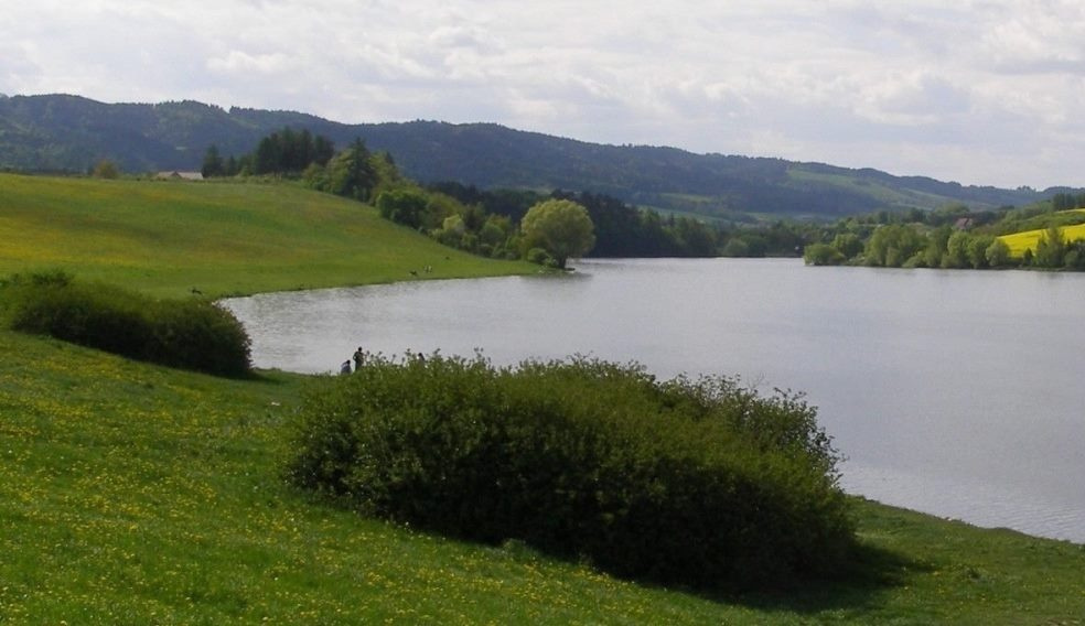 river and green 