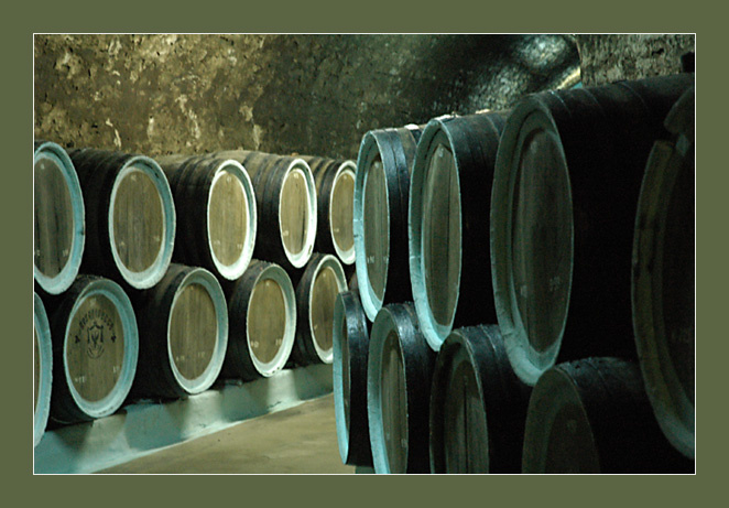 В подвале. vine barrels
