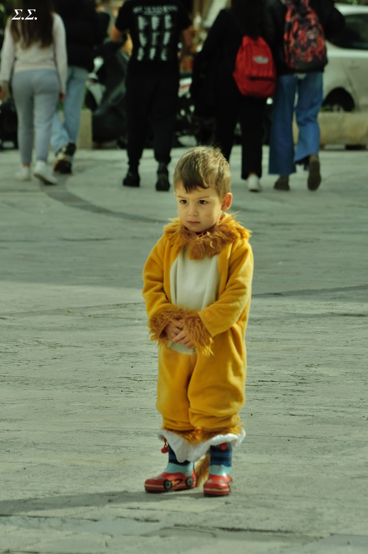 LONE LITTLE LION 