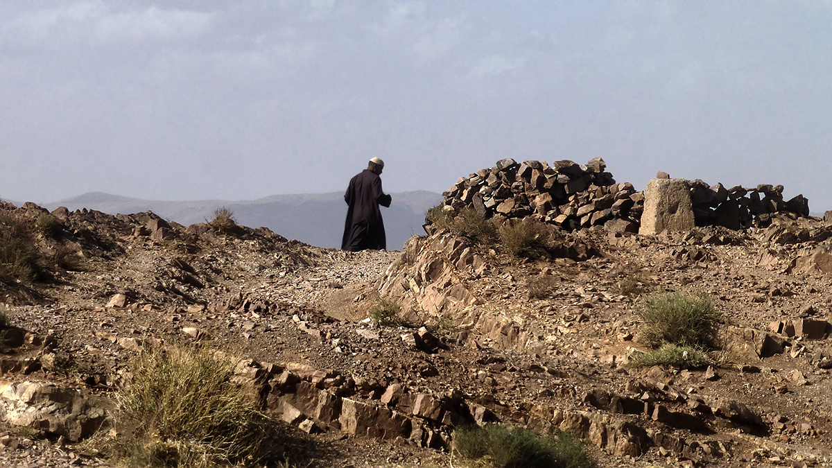 ушел в укрытие с добычей Марокко Morocco Антиатлас Anti-Atlas пустынник ушел в укрытие с моими деньгами