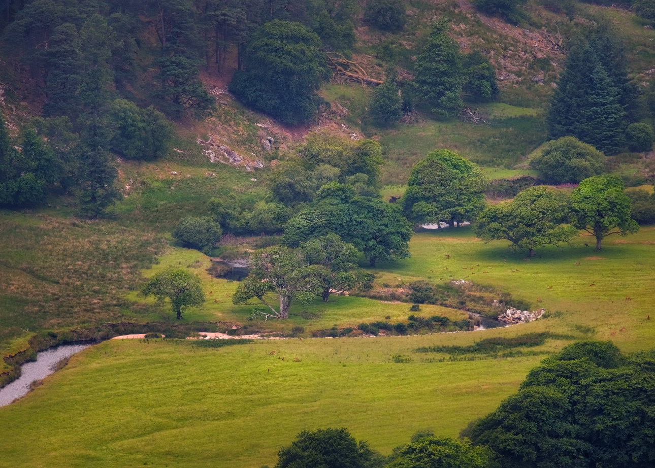 ...scenic meadows... ireland nature outdoors scenic wicklow mountains luggala sally gap lough tay guiness house meadows deer fields picturesque europe from above