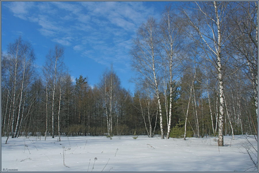 Весеннее небо зима, весна, небо, поле, лес, снег