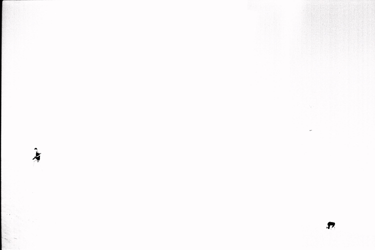 019 019