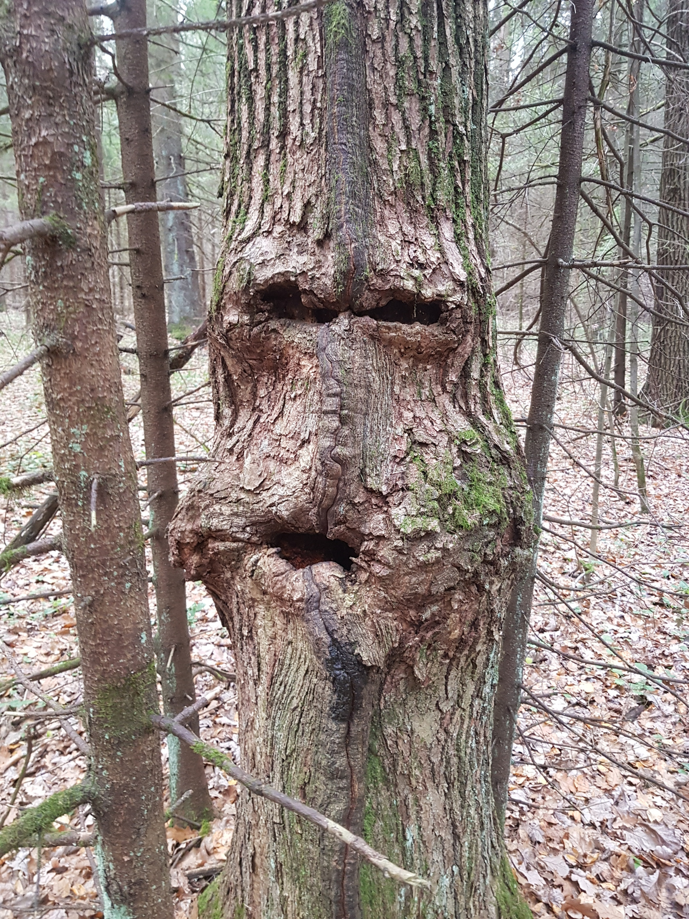 Леший 