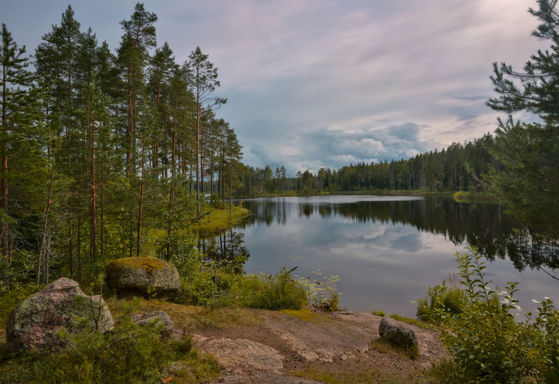 Лесное озеро 