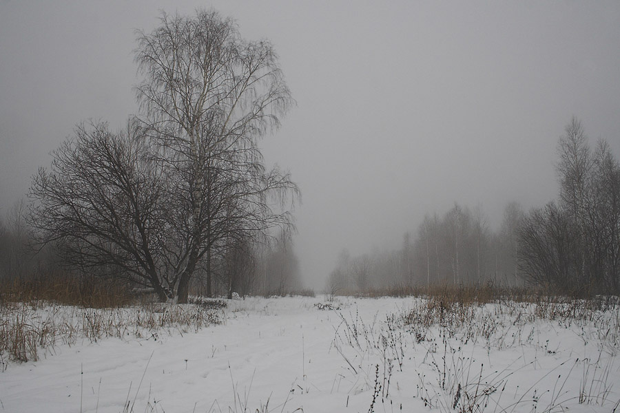 3 декабря 2006г. (#2126) 