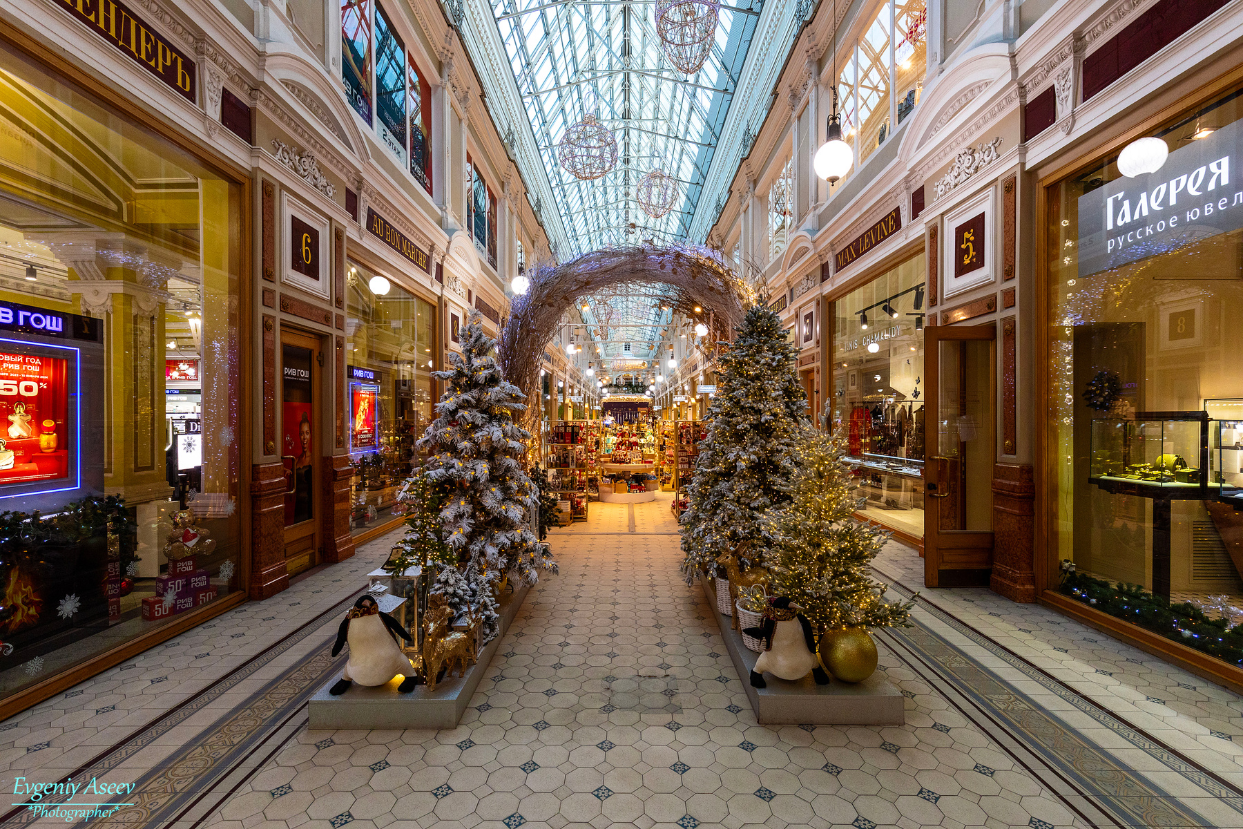 Новогодний Петербург Петербург