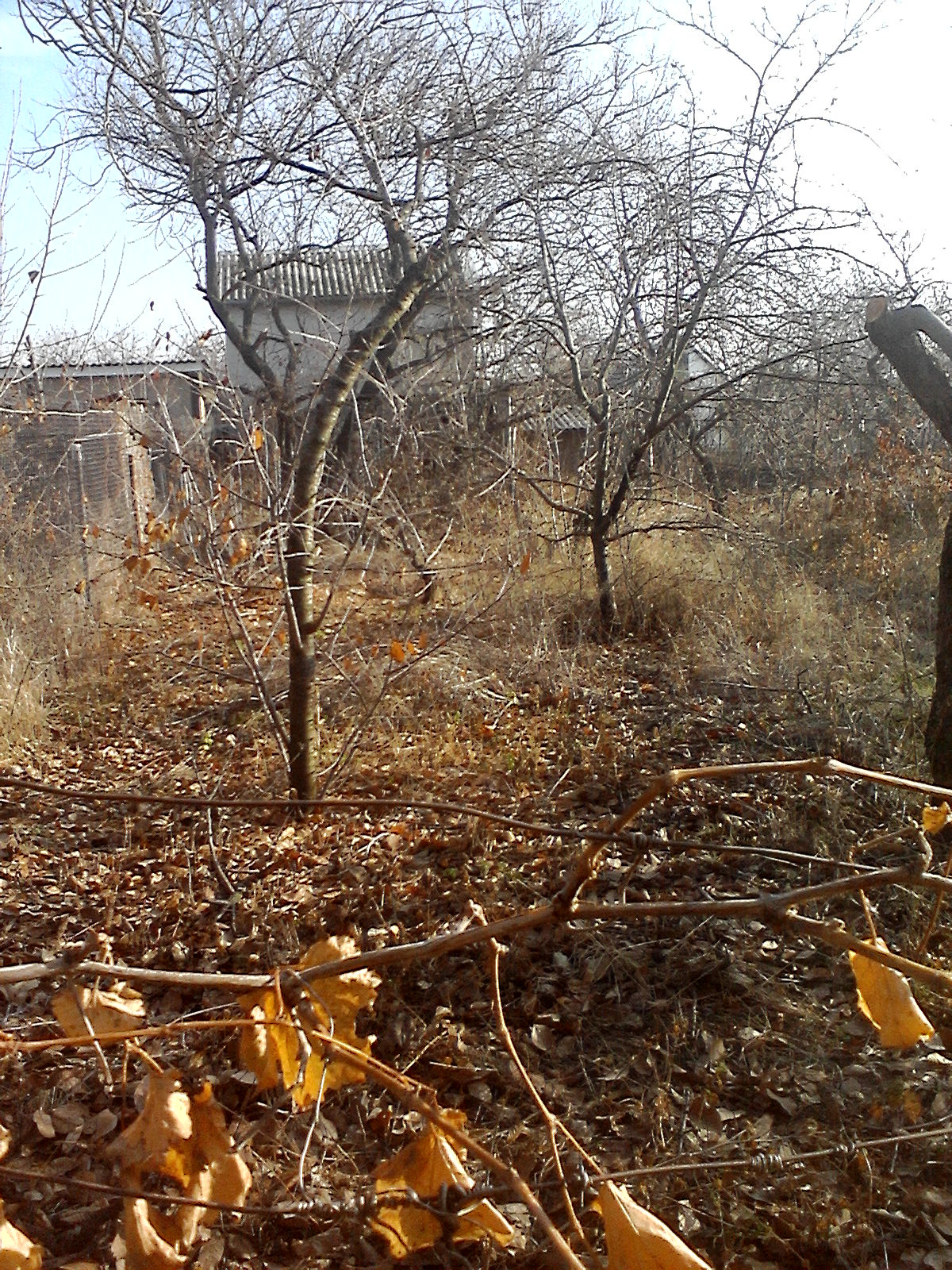 осень не страшная 