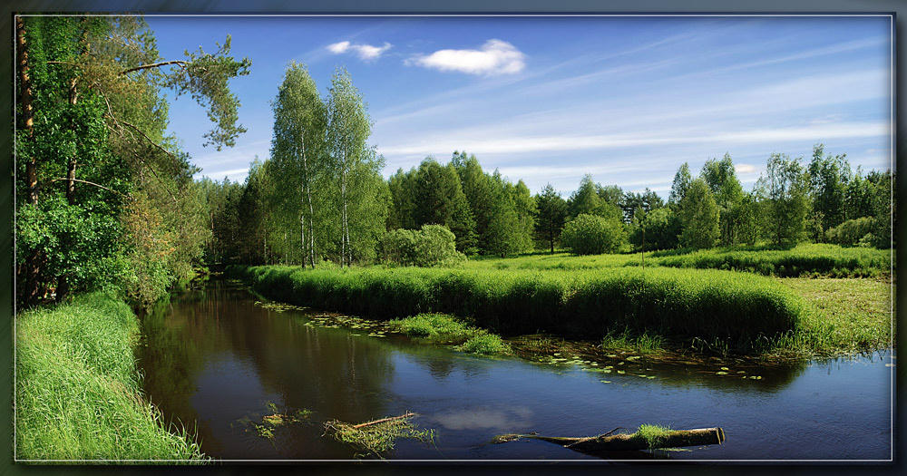 Лето на реке Природа, Нерская, Пейзаж