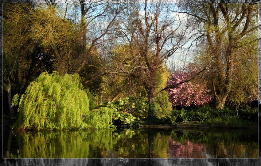 Late April spring time, april, park, nature