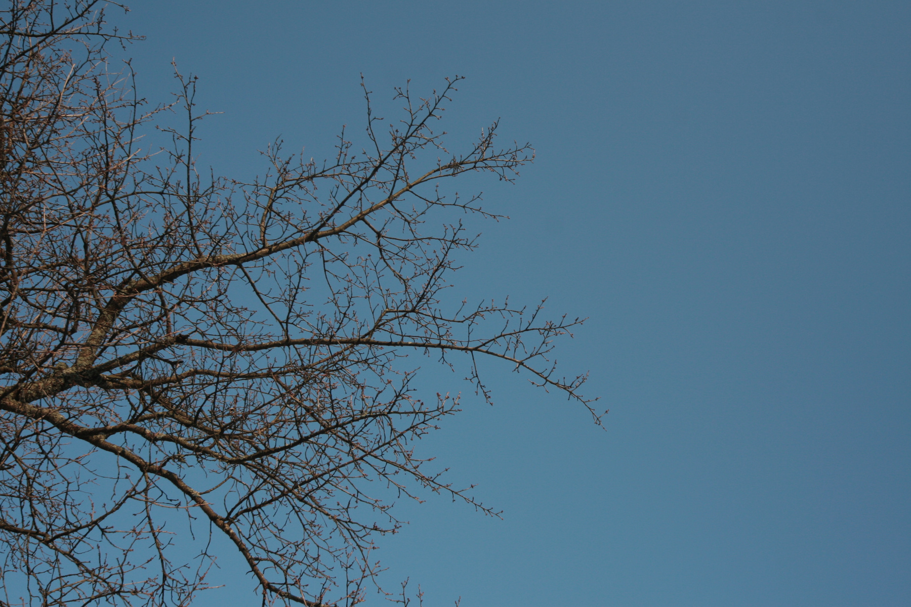 The sky Небо