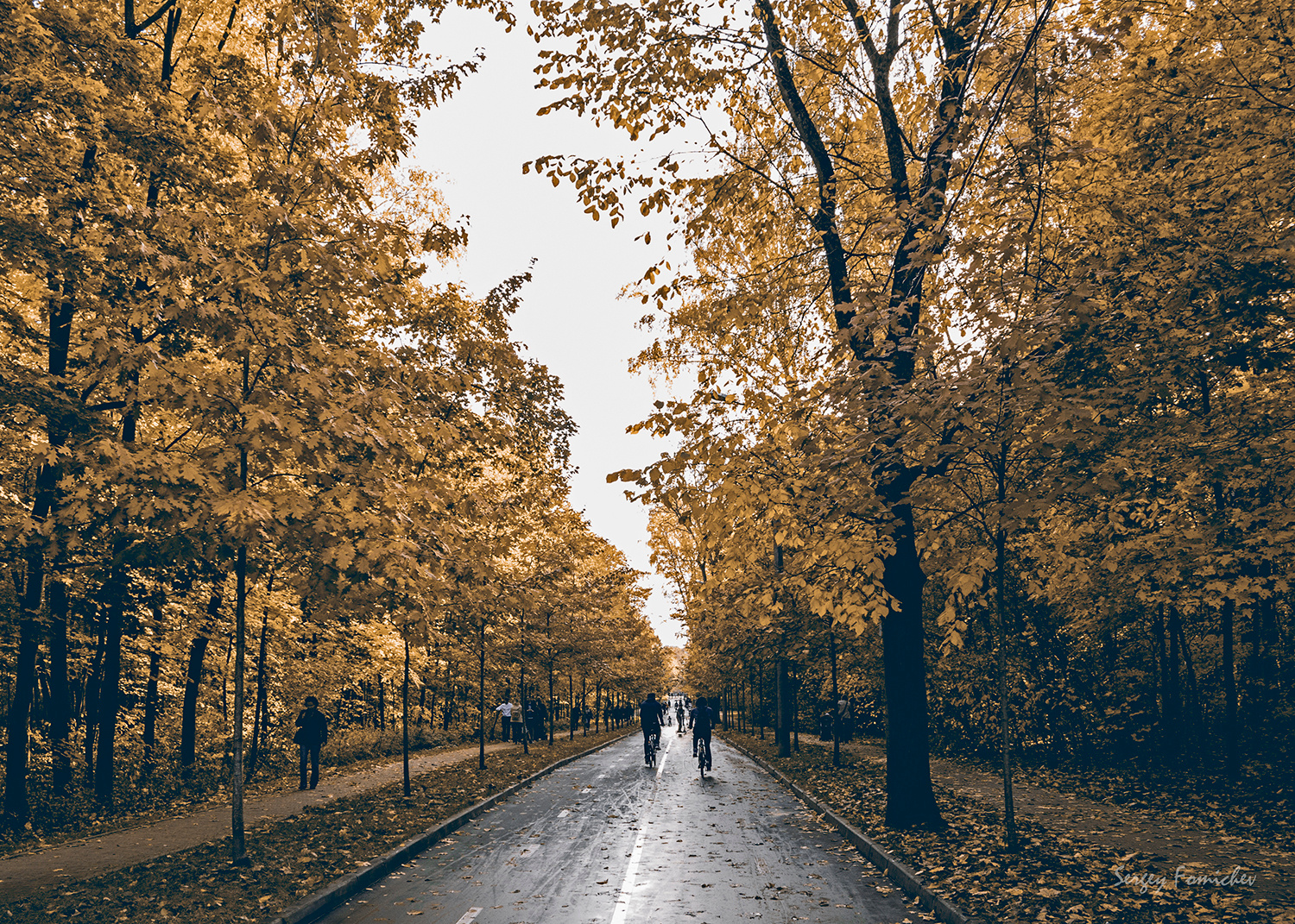 Октябрь в Сокольниках*** 