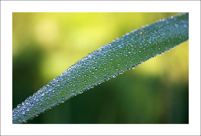 ...like the neverending tears flows on like a neverending tear