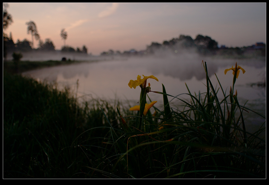 no name 