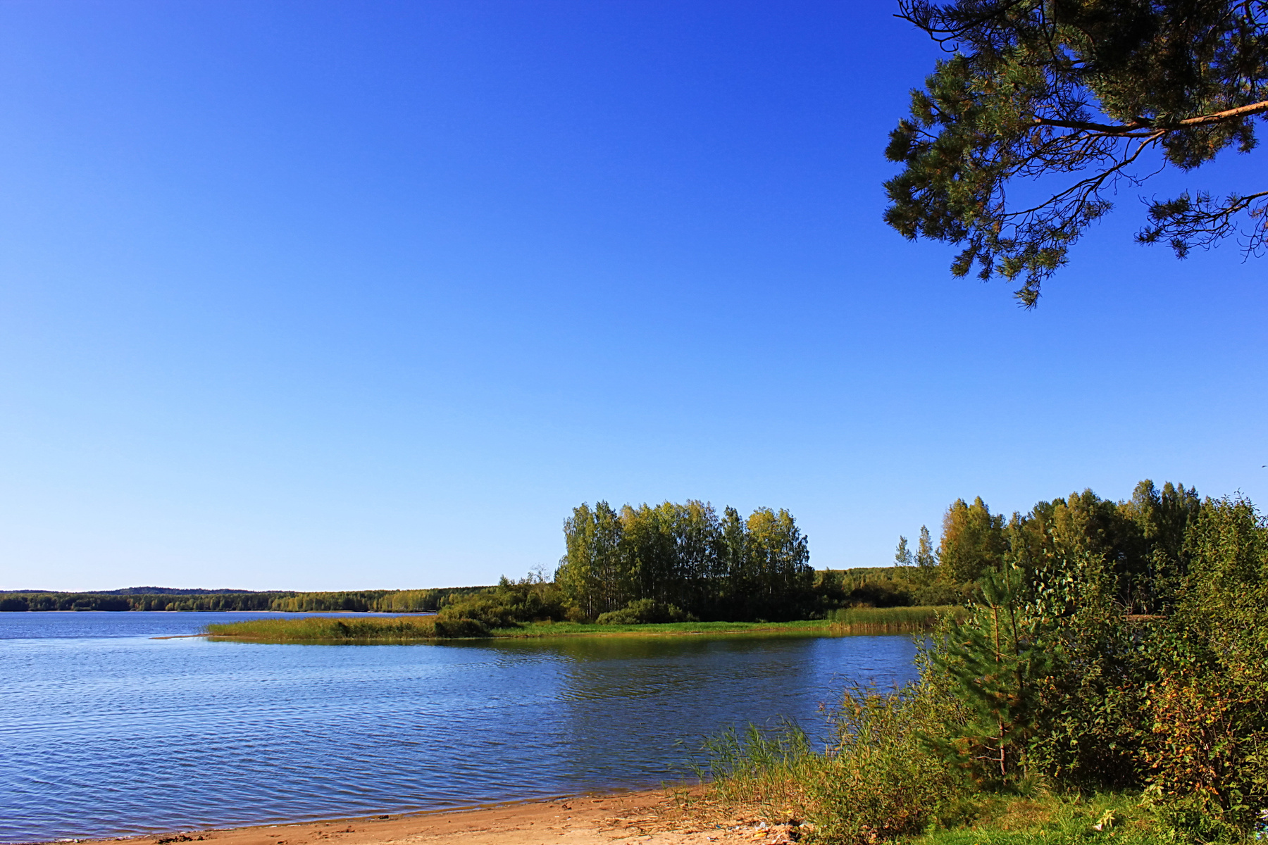 Остров в заливе лето,лес,вода,пейзаж,красота