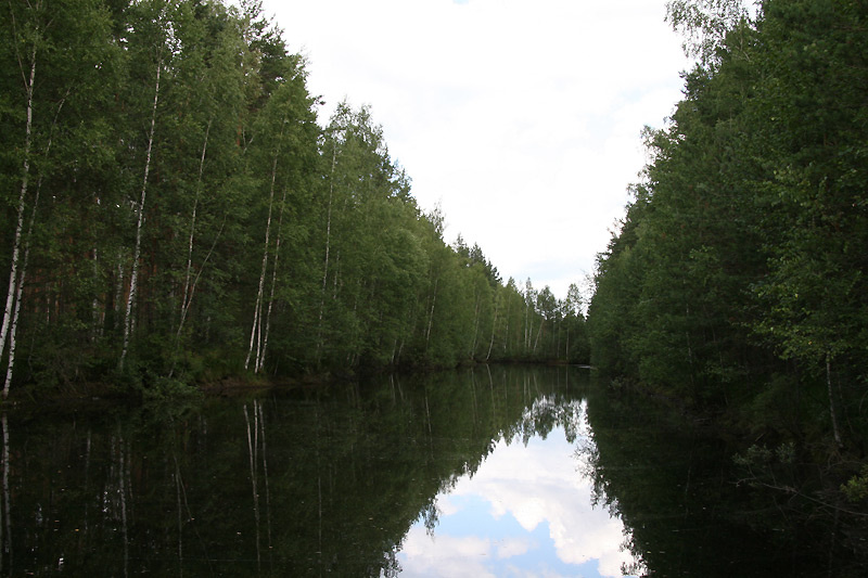 Лесной водоём вода река озеро лес деревья отражение