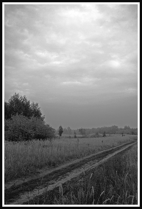 Одинокая дорога природа, дорога