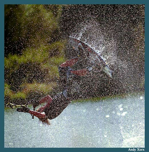 In the WAKE of Poseidon wake, wakeboard, вейк, уэйк, катание на доске, флип