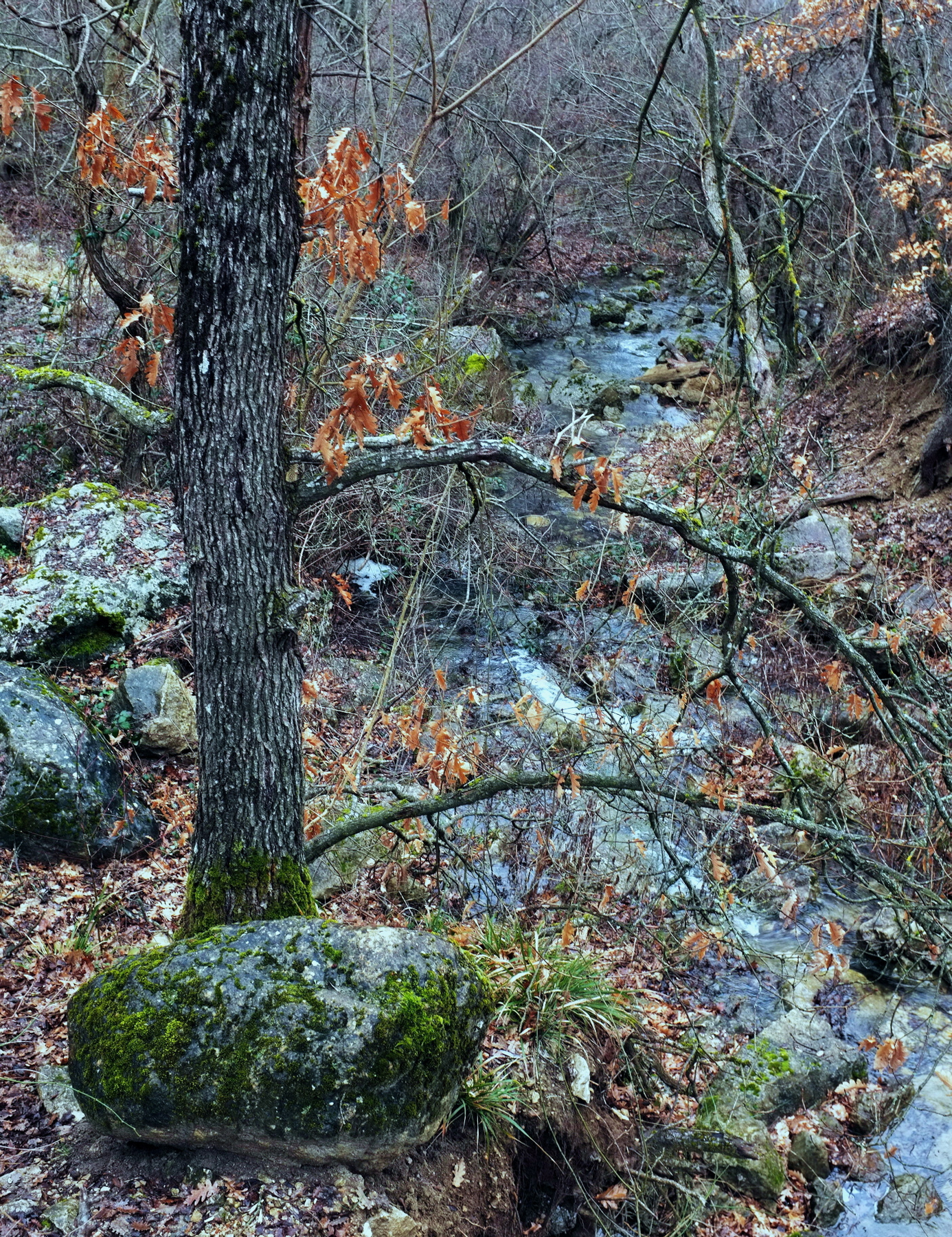 Тропами Крыма,февраль. Февраль,горы,река,Крым