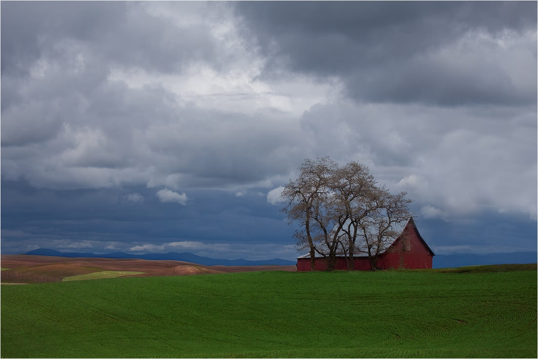 Из коллекции амбаров. Palouse