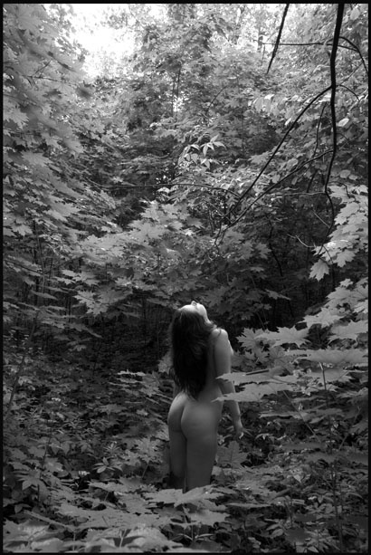 In The Forest. 
