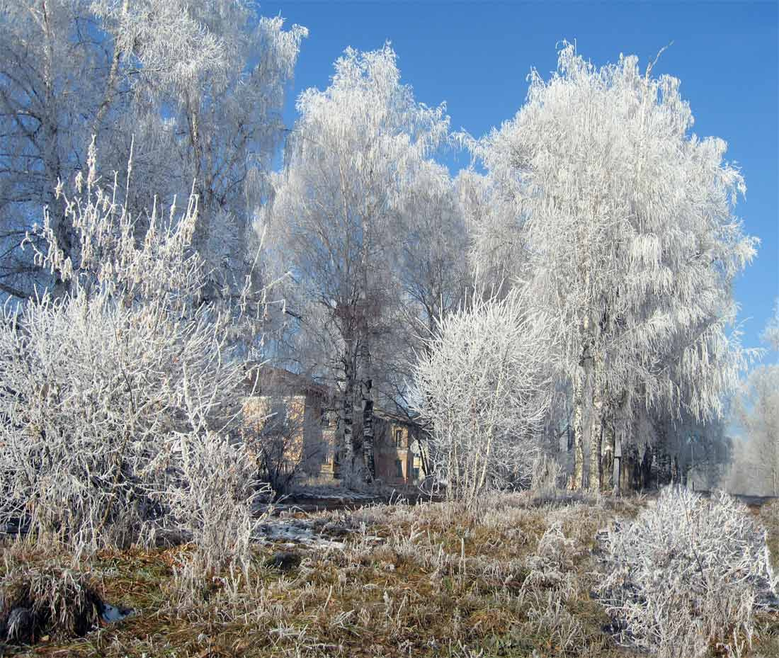 А утром все поседело... утро иней солнце