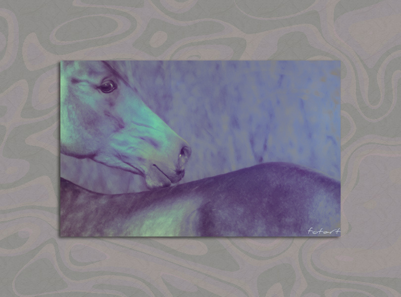 \"\"Бред\" fotart`a\" horse лошадь