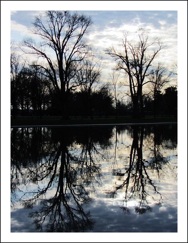 The Reflection Pool 