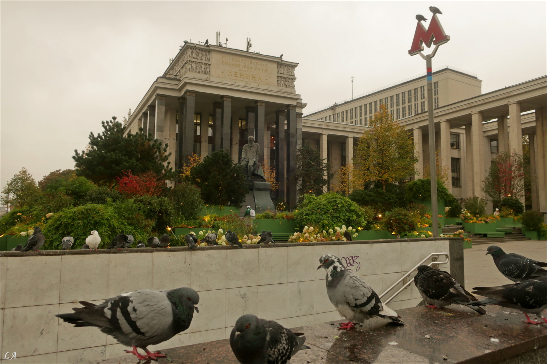 Поналетели! Москва. Центр. Столичные голуби. Или нестоличные? Творческий Союз Снежный Лев Фототренер Александр Мамакин Фото Светланы Мамакиной Путешествие Lihgra Advenyture Фотосайт Россия Москва РГБ Российская Национальная Библиотека метро голуби осень октябрь