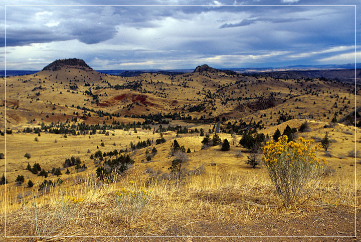 Oregon. Road 216. Faraway Орегон Высокогорная пустыня