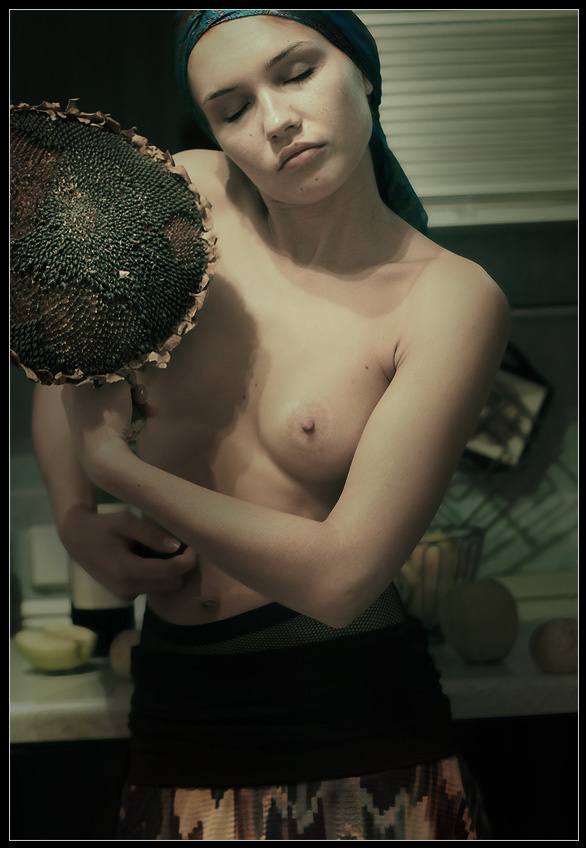 подсолнухи 