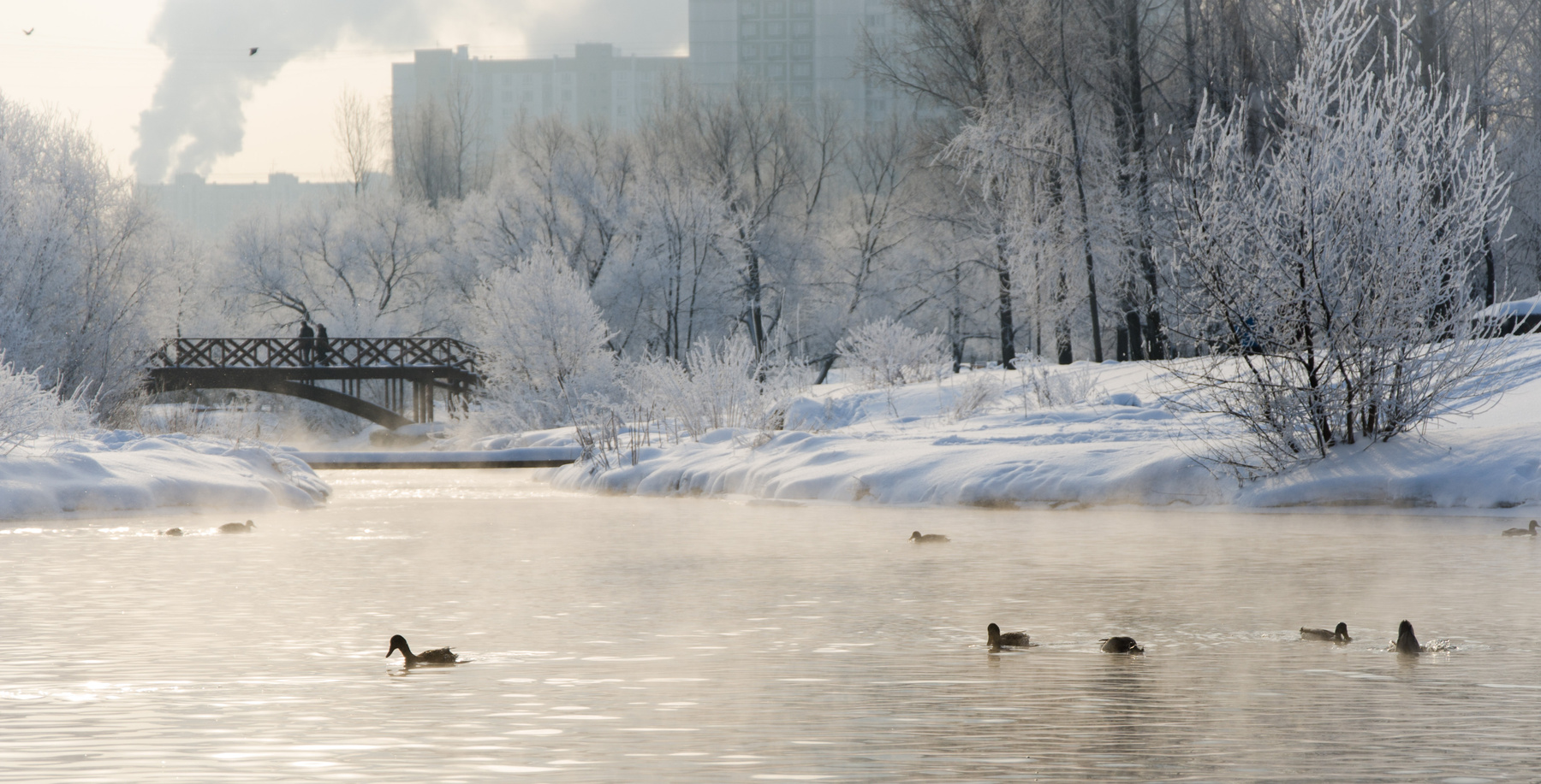 Городской пейзаж Пейзаж. Зима. Утки. Мостик. Мороз.