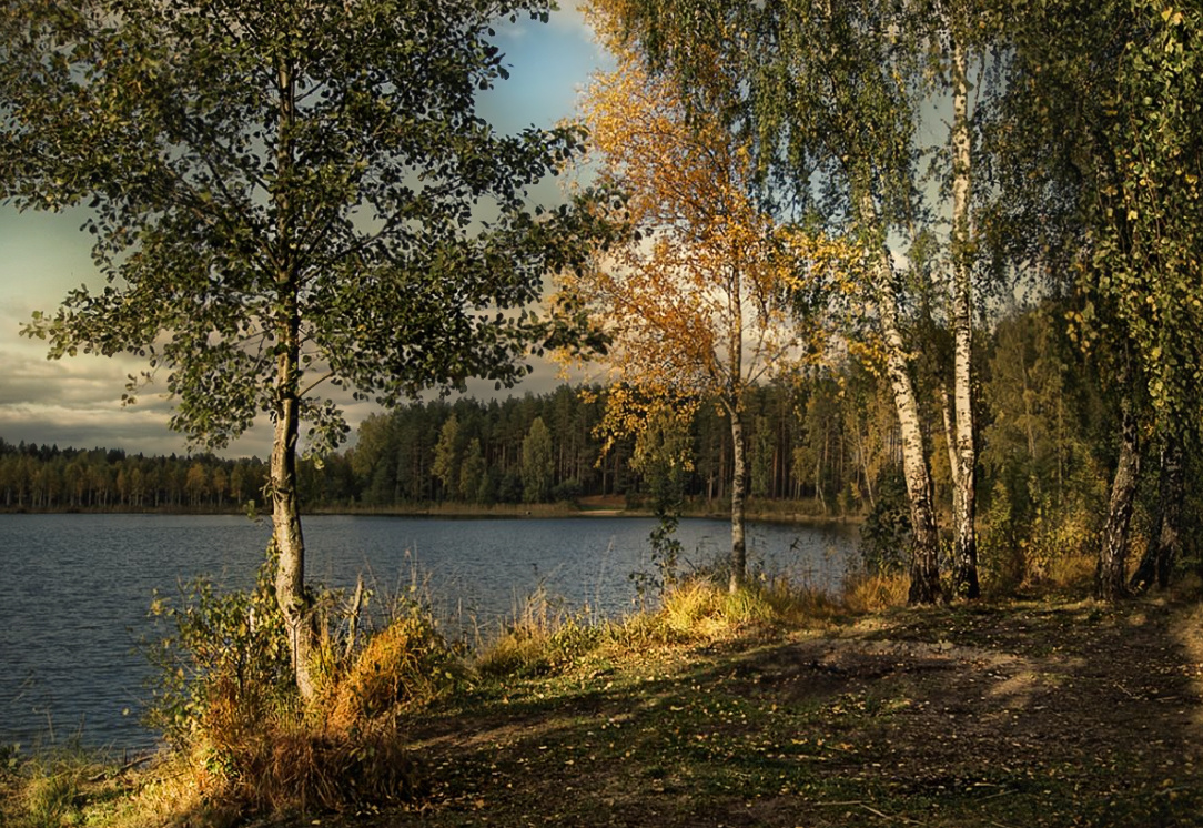 ***Осень на берегу. 