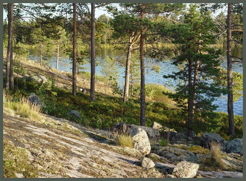 Вечерняя карельская Яголомба, Калга, Белое, море