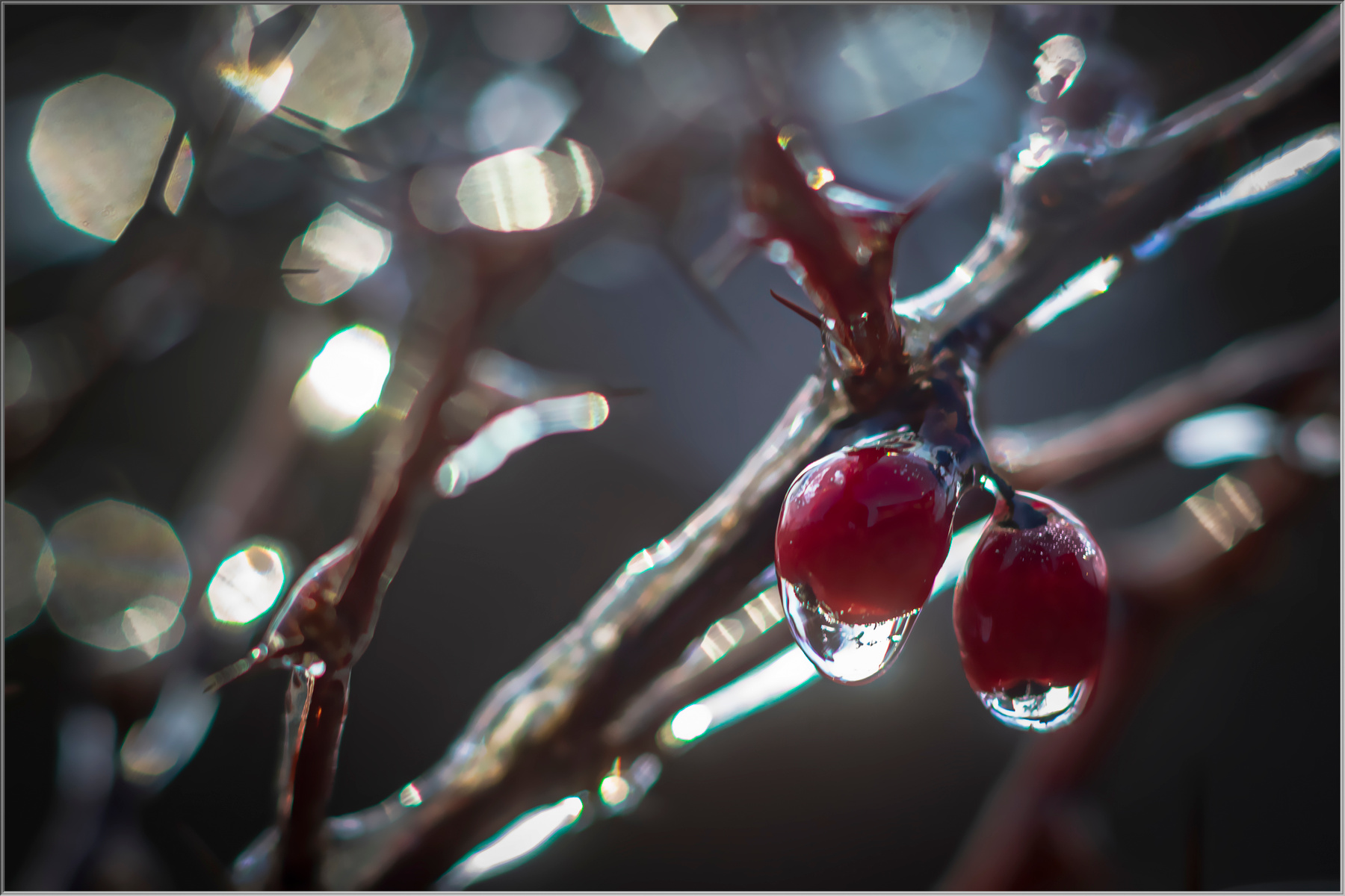*** природа