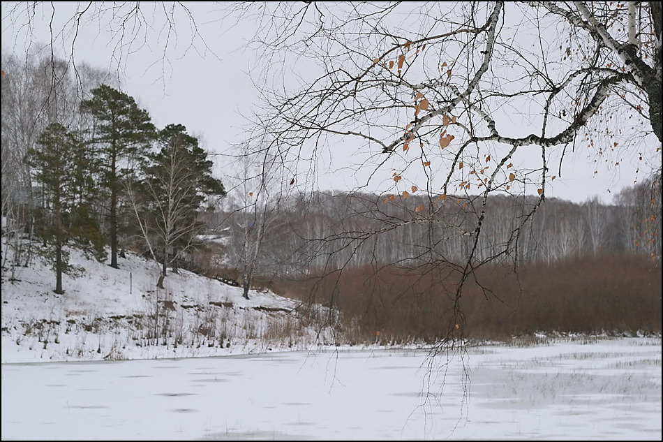 Унылая пора (ноябрьский этюд) ноябрь, озеро, тоскливая, серость