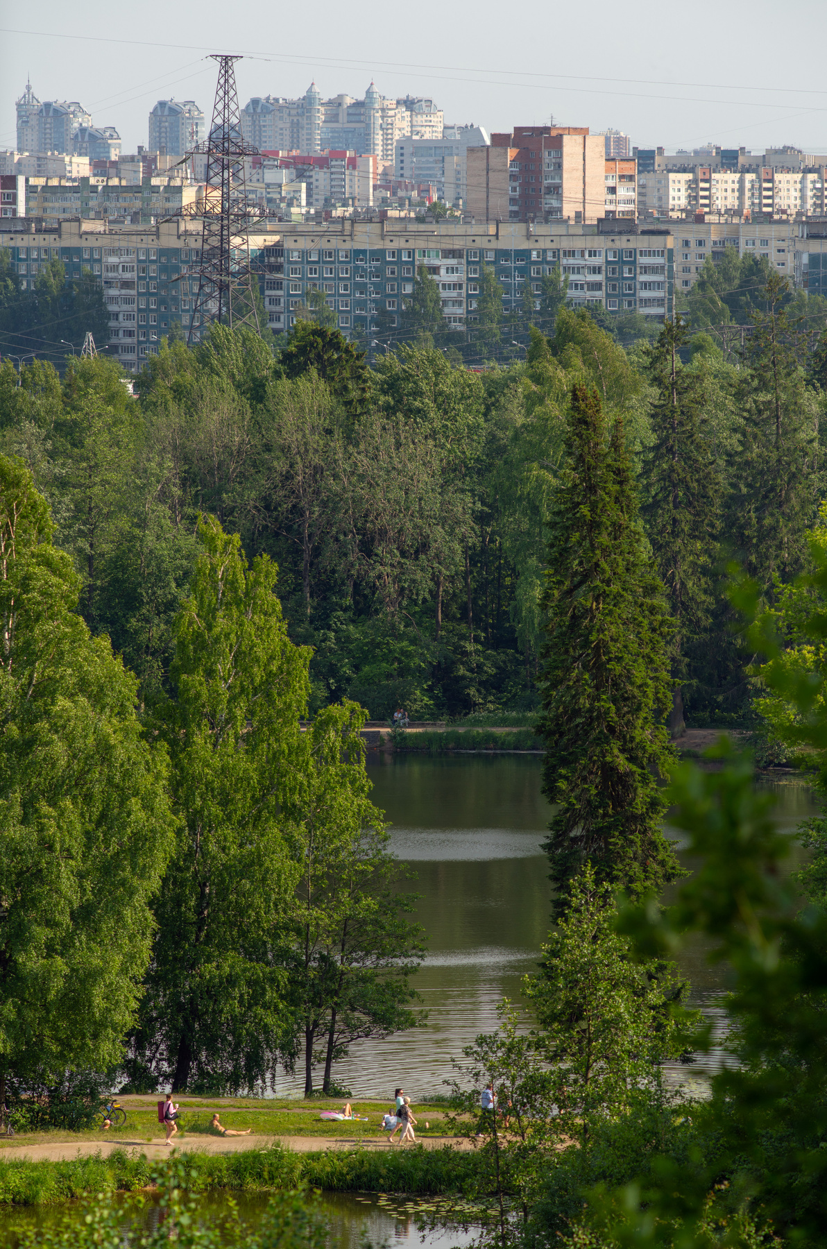 Вид с горы Парнас СПБ Шуваловский_парк Парнас